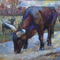 16x20 oil on canvas  buffalo