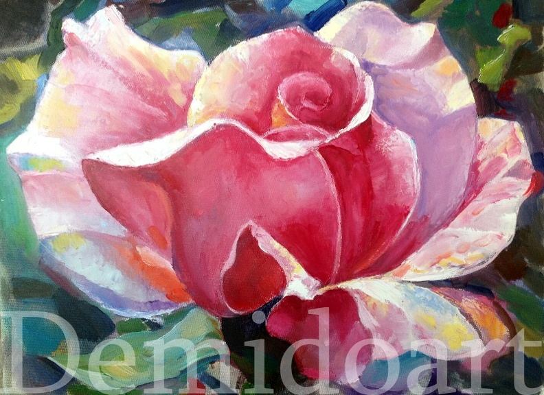 16x20 oil on canvas  pink rose.JPG