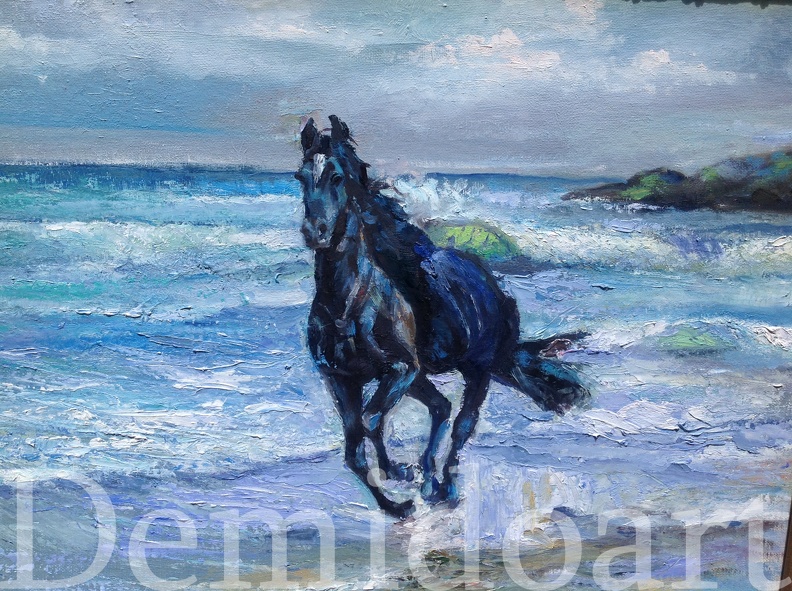 16x20 oil on canvas  black horse.JPG