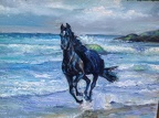 16x20 oil on canvas  black horse