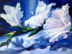 white flowers oil on canvas 18x24