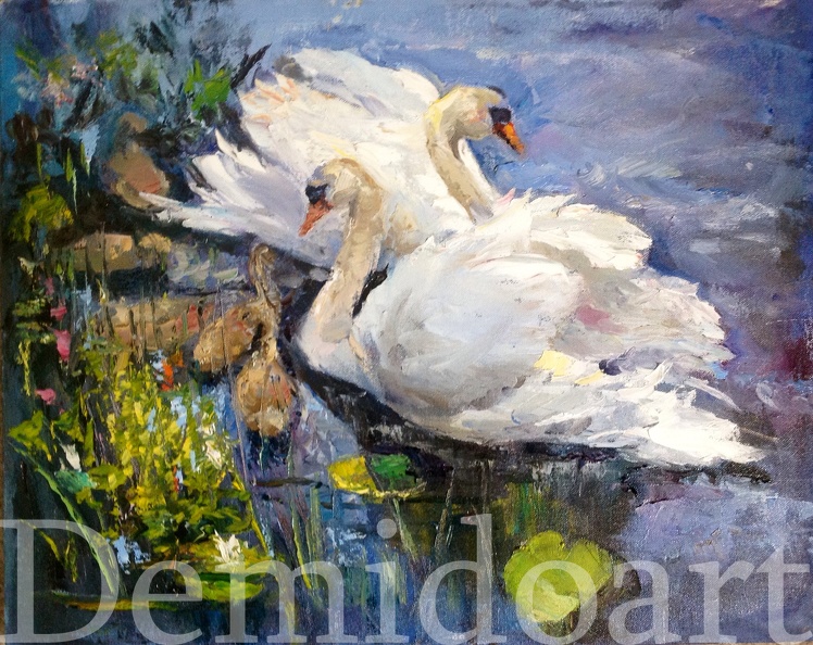 swans oil on canvas 16x20.JPG