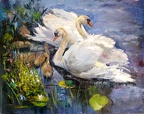 swans oil on canvas 16x20