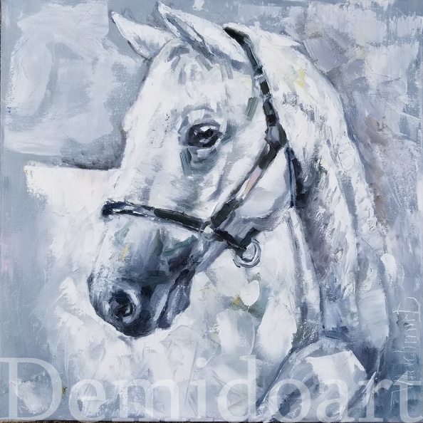 White horse,16x17,oil on canvas,Vladimir Demidovich