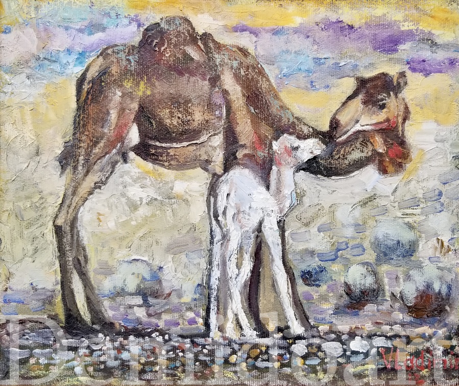 Camels,13x15,oil on board,Vladimir Demidovich