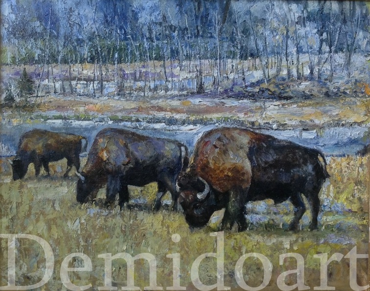 16x20 oil on canvas  buffaloes.JPG